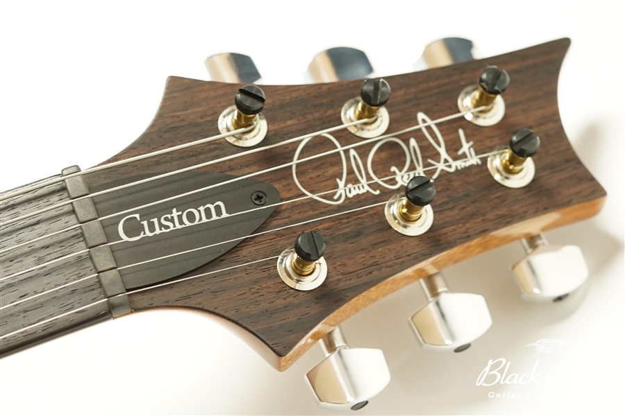 Custom 24 Pattern Thin 1-PieceBack - Blue Matteo